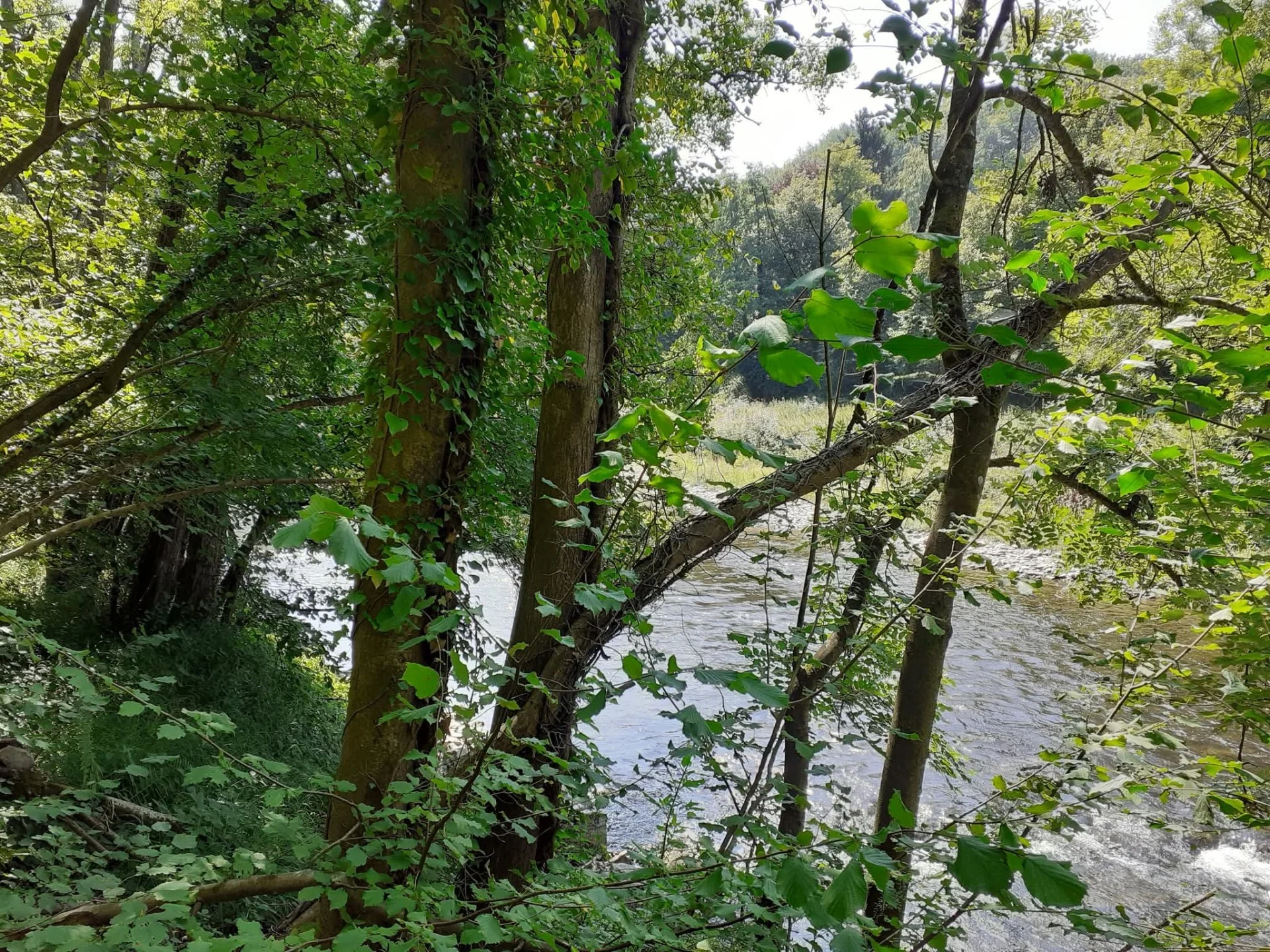 Comblain au pont le 10 aout 2025 5 