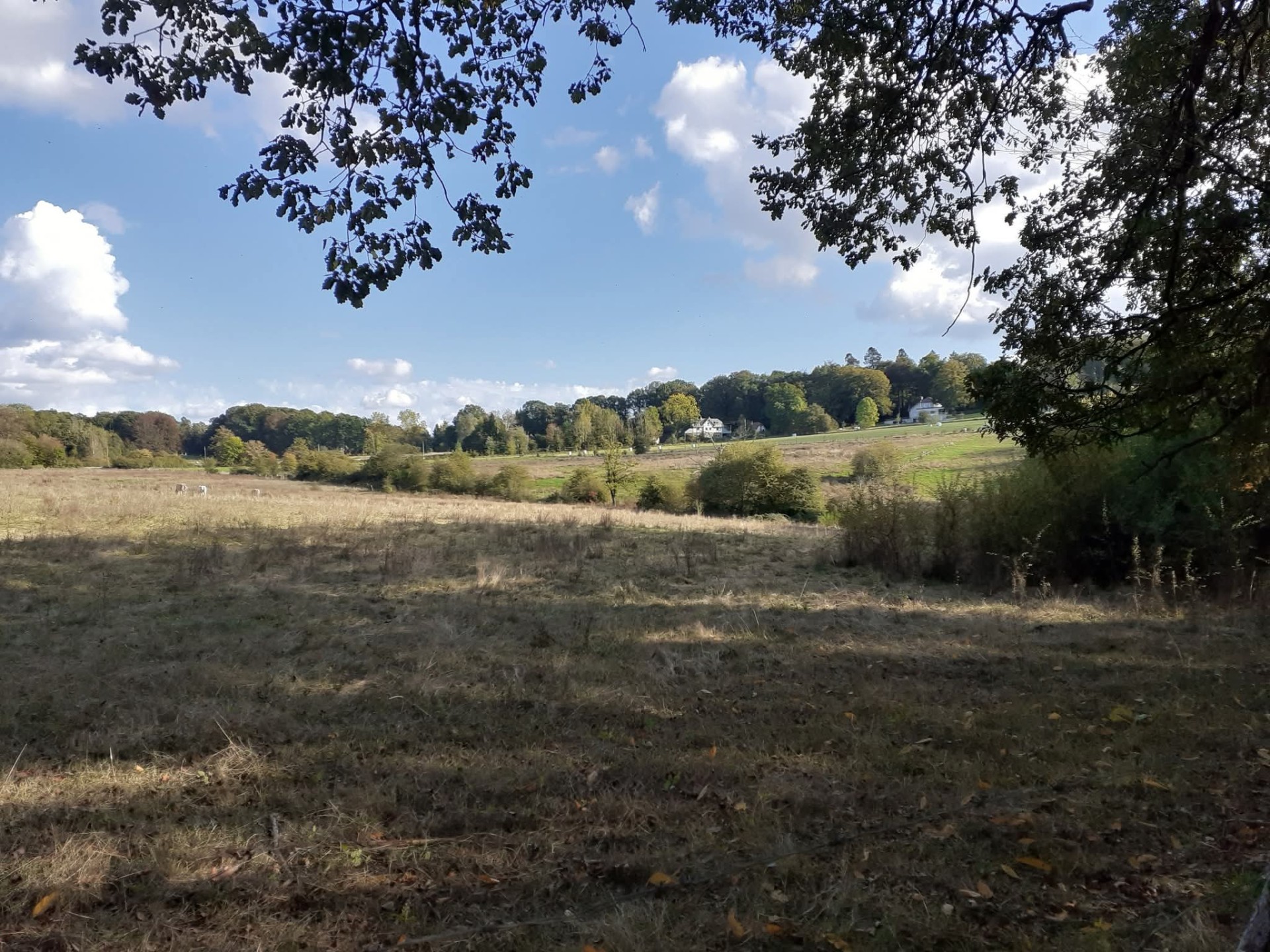 Spa le 4 octobre 2026 5 1